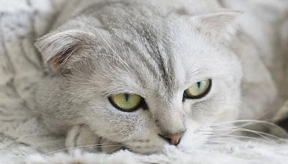 永康医保现金报销多久到账的最新政策(2025年永康医保报销的钱是现金还是打卡分享)